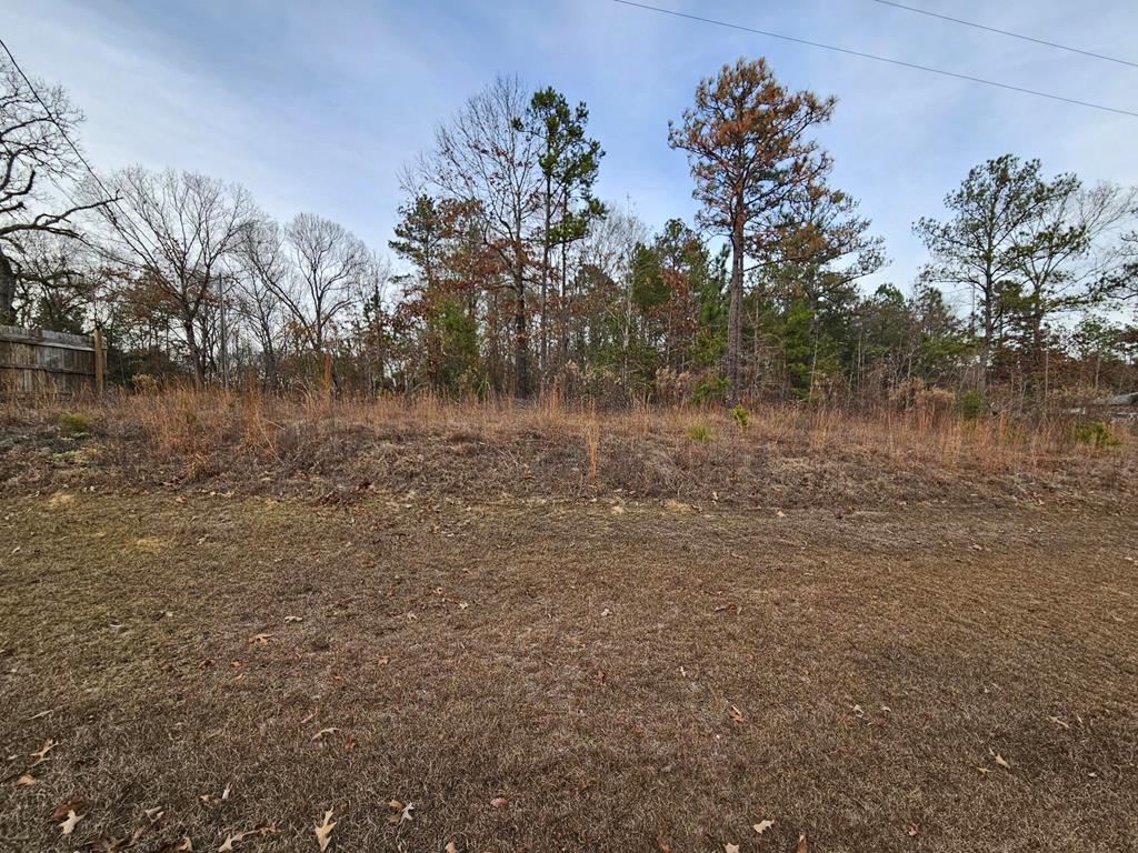 471 Old Louvale Road Cusseta, GA 31805 - Photo 16 of 26 Gallery Image 16
