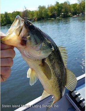 7609 Sawmill Road Pocono Lake, PA 18347 - Photo 45 of 47 a view of swimming pool with a yard