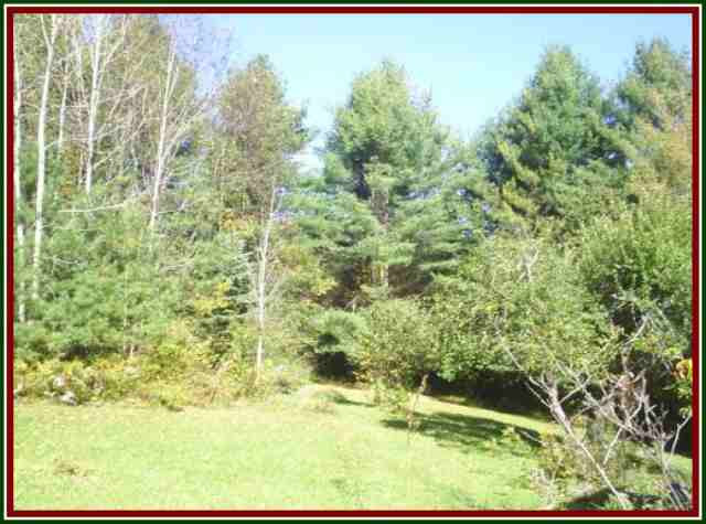 41 Townsend Road Minerva, NY 12851 - Photo 7 of 7 Photo 7