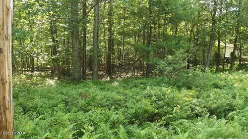 Lot 8 Ridge Road Hawley, PA 18428 - Photo 2 of 4