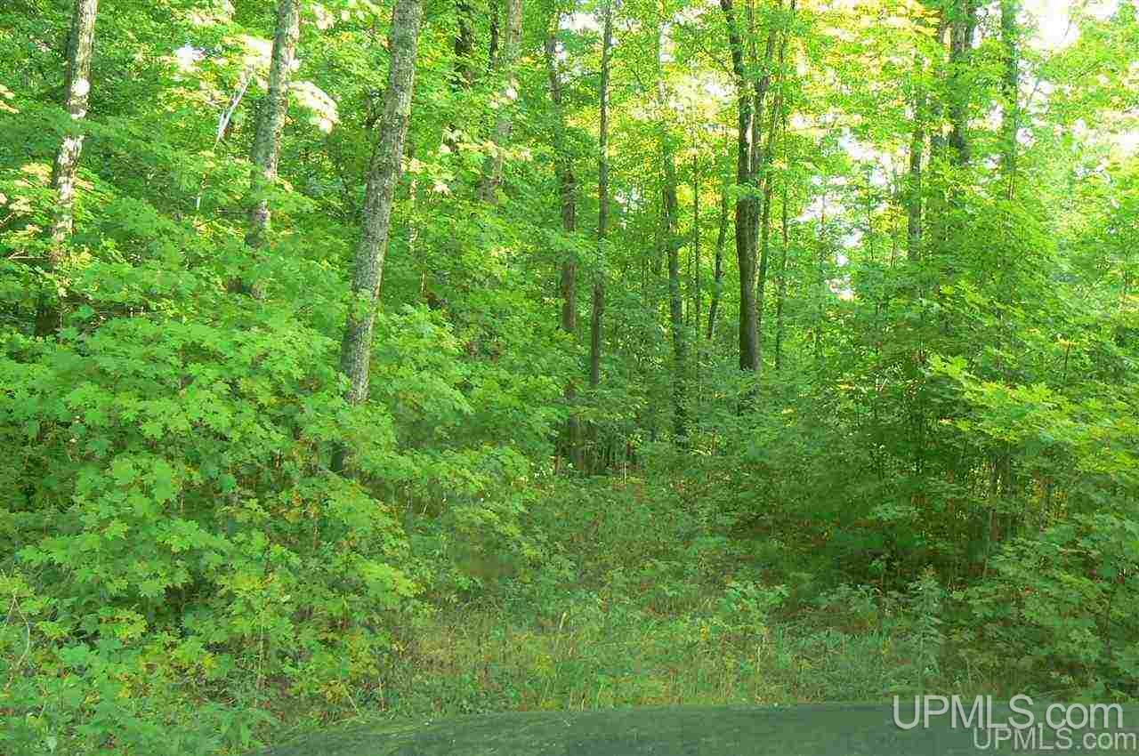 Tbd M94, Unit 3 Chatham, MI 49816 - Photo 2 of 4
