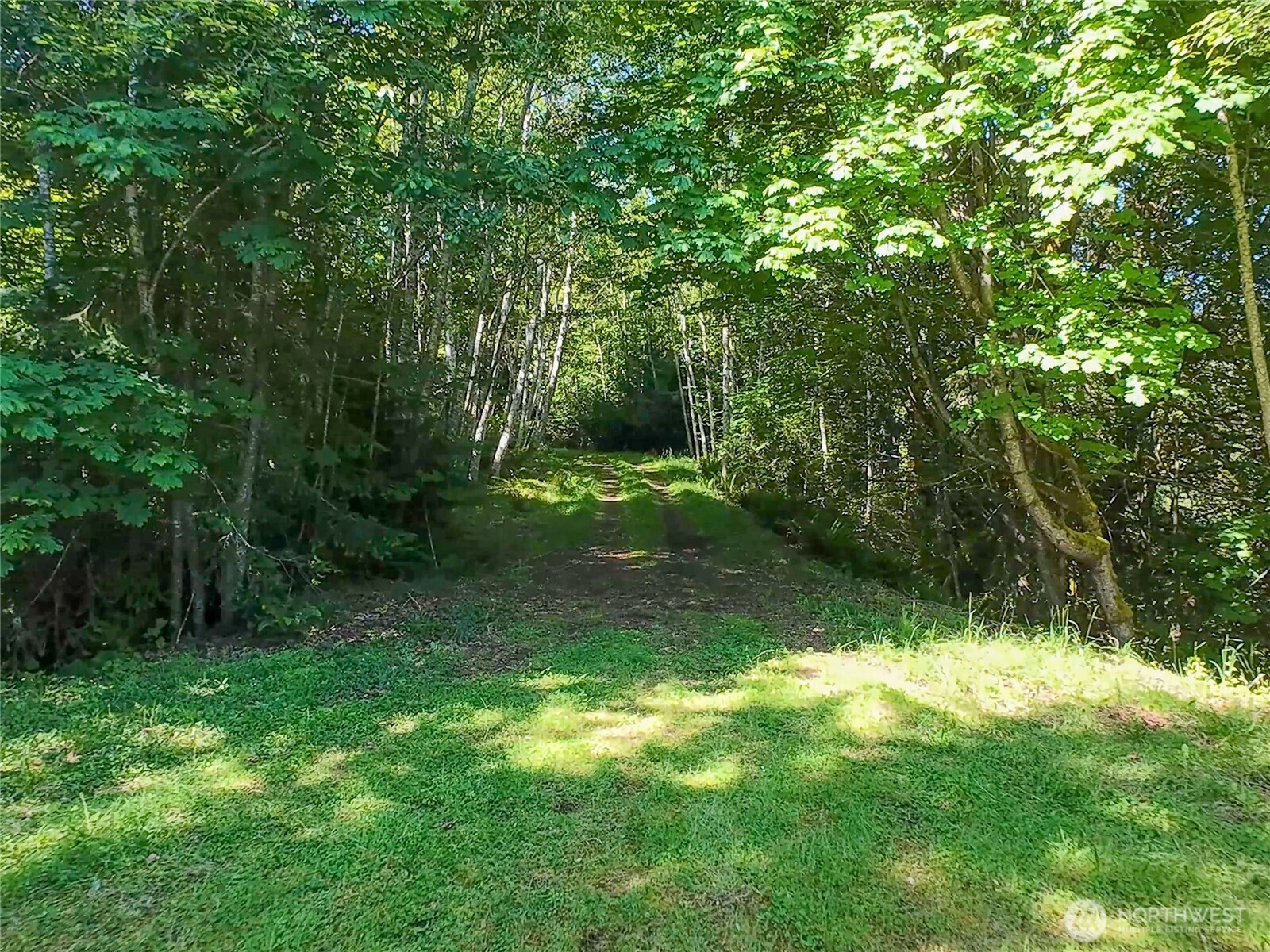 496 Last Camp Road Quilcene, WA 98376 - Photo 19 of 29