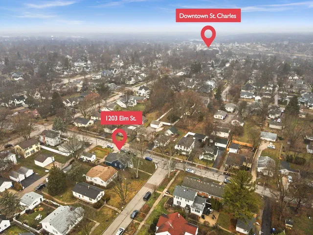 a close up of a tree