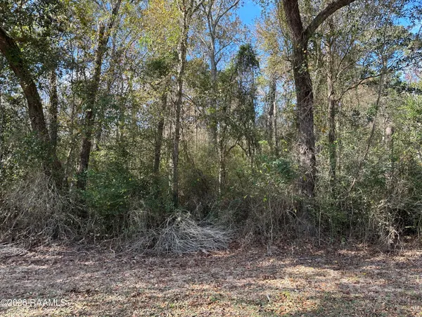 $33,500 | 0 Hoffpauir Road, Gueydan, LA 70542