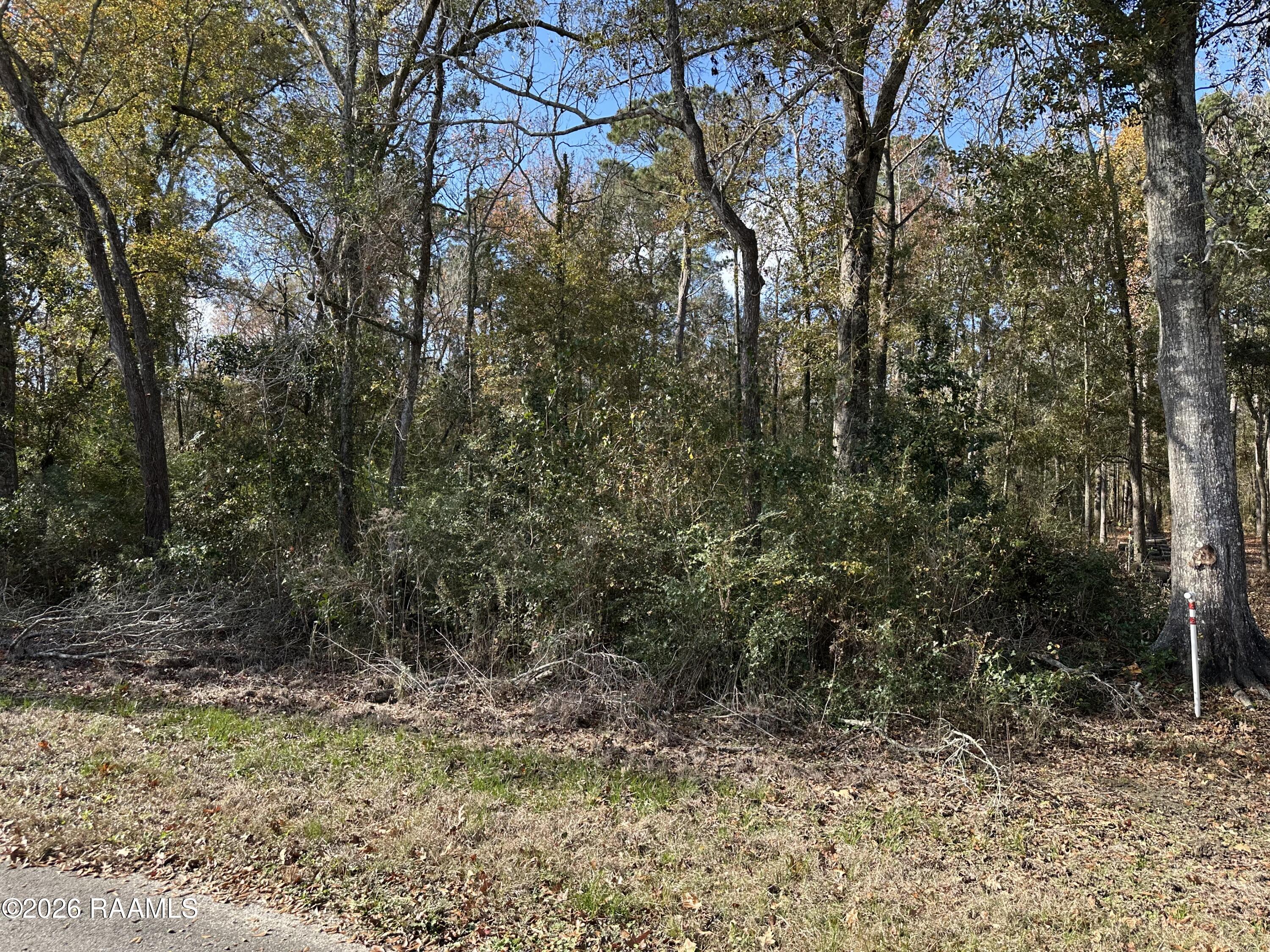 0 Hoffpauir Road Gueydan, LA 70542 - Photo 2 of 3 IMG_5810