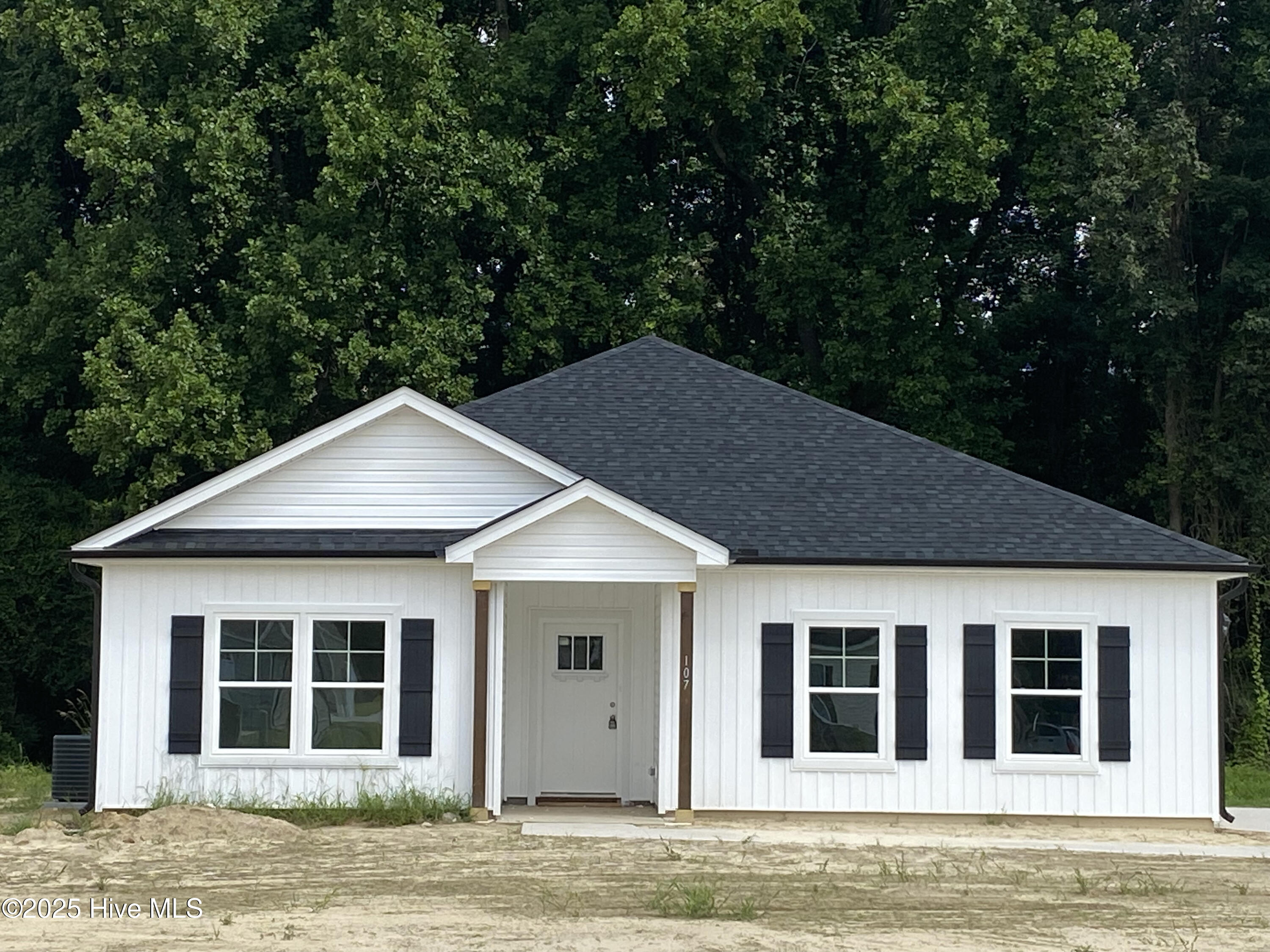 107 Chester Place Pikeville, NC 27863 - Photo 1 of 21 107 Chester Place - Landon