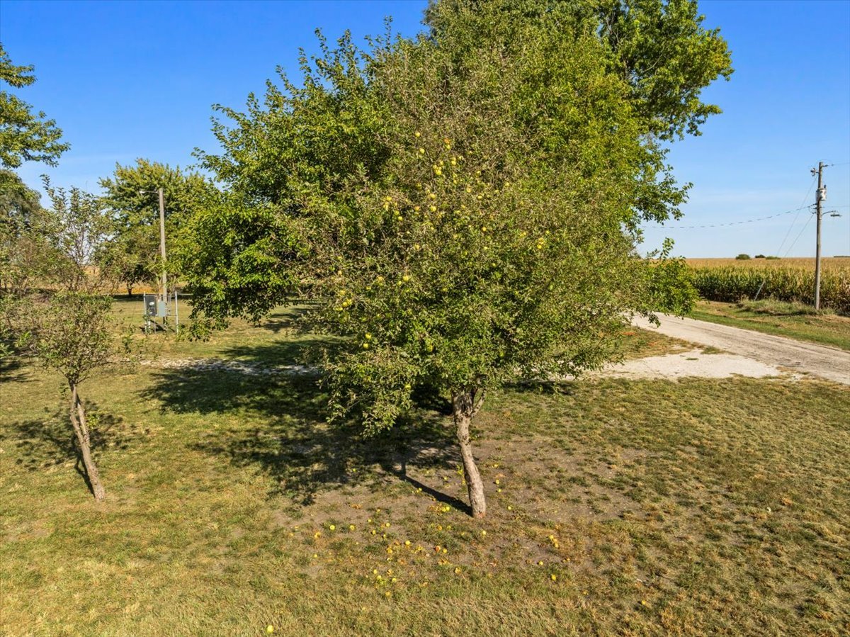 5905 East 1100 N Road Gridley, IL 61744 - Photo 14 of 14