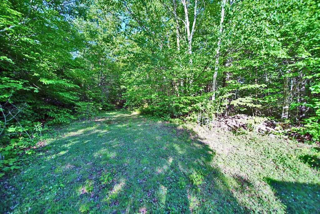 168 Brown Road Oakfield, ME 04763 - Photo 26 of 50 woods-trail-behind-home