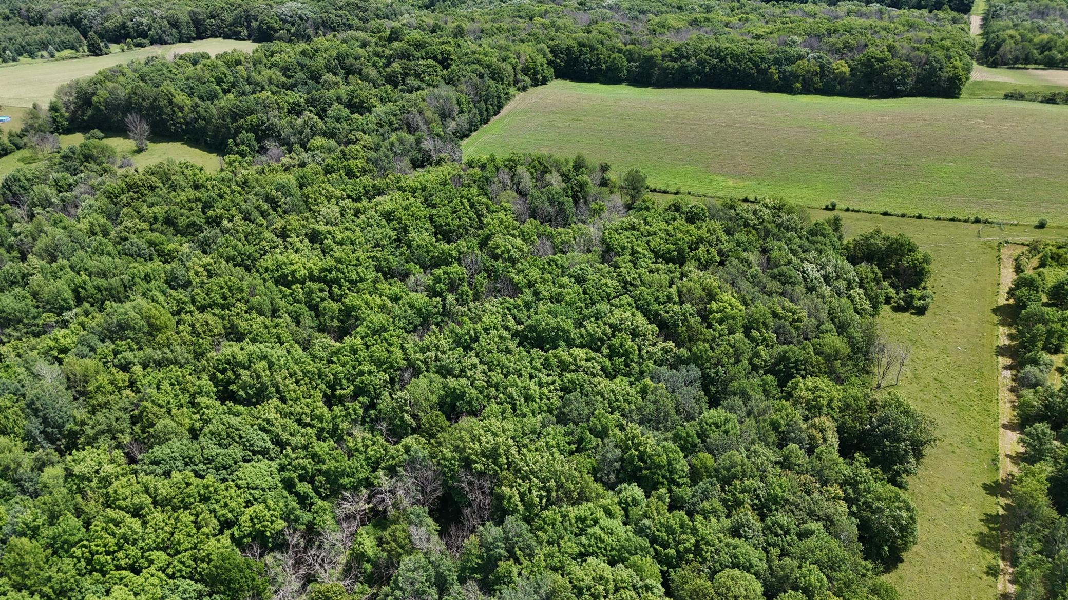 Tbd Tbd 230th Baldwin, WI 54002 - Photo 31 of 56