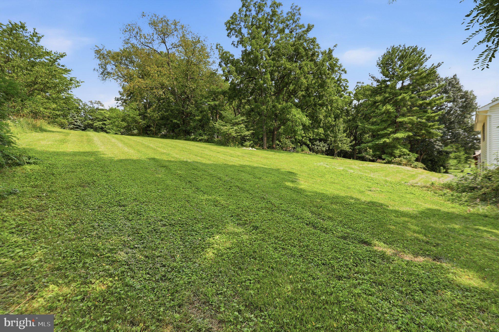 11523 Handboard Road Union Bridge, MD 21791 - Photo 5 of 48 Backyard