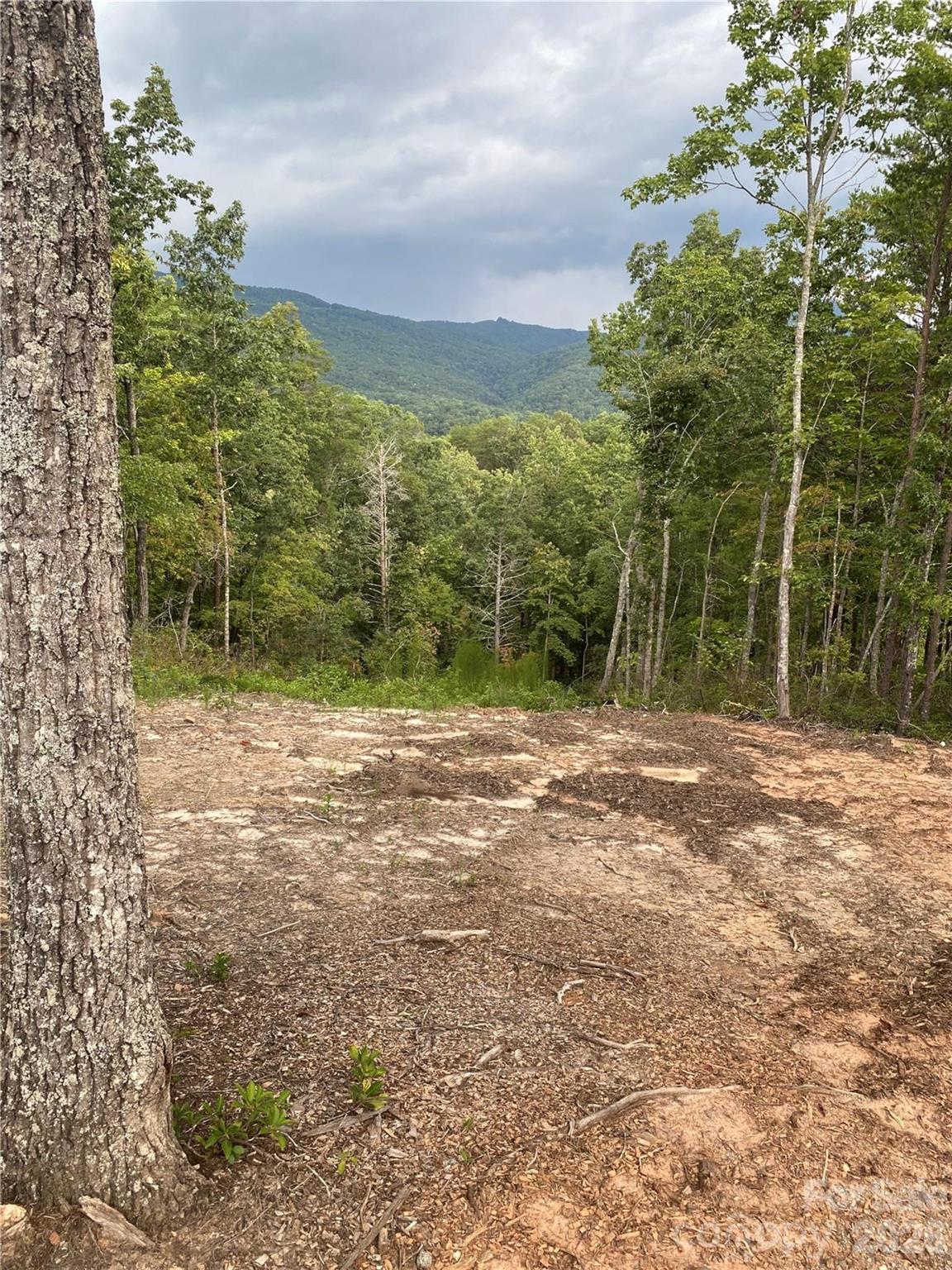 1 Jackson Ridge Ln Mill Spring Mill Spring, NC 28756 - Photo 2 of 43 a view of a yard with plants and large trees