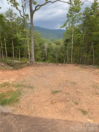 a backyard of a house with lots of green space and fog
