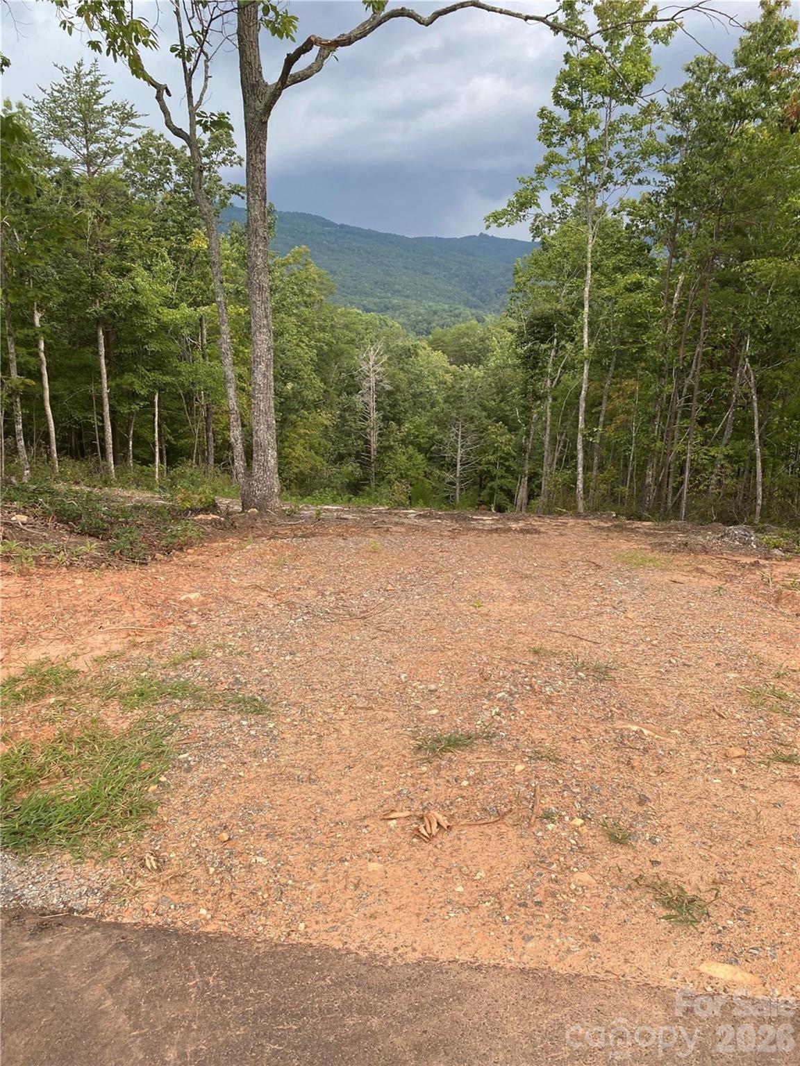 1 Jackson Ridge Ln Mill Spring Mill Spring, NC 28756 - Photo 3 of 43 a backyard of a house with lots of green space and fog