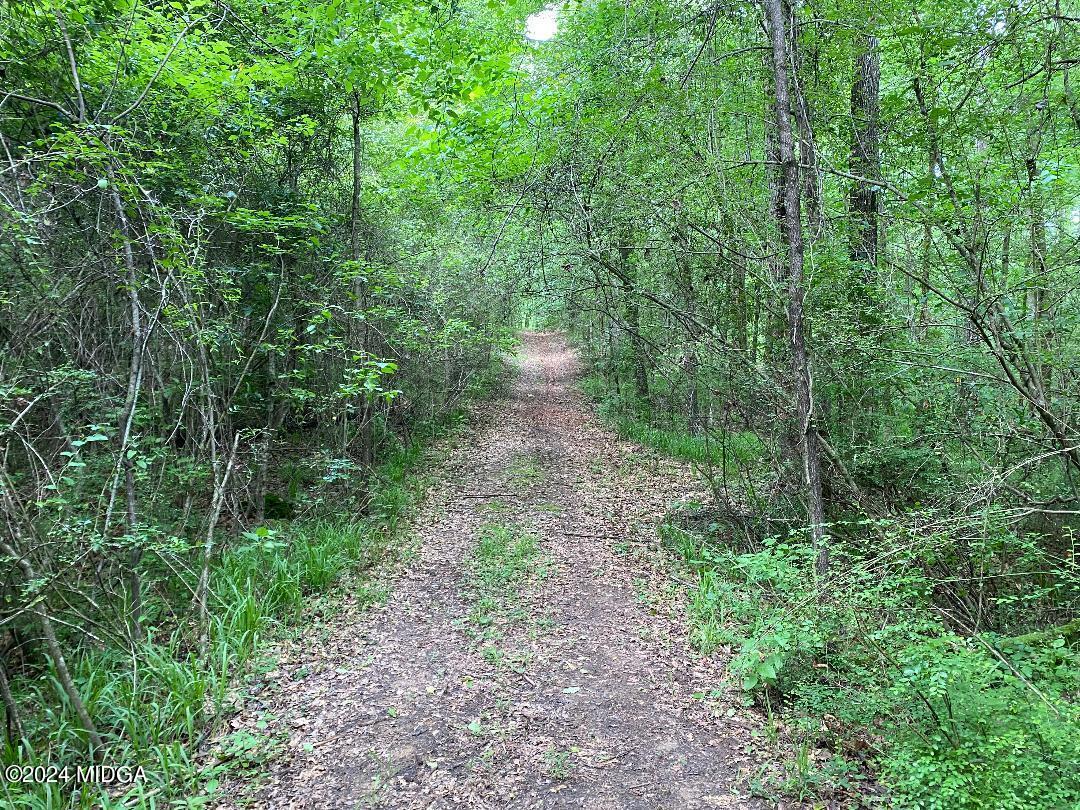 6561 Columbus Road Lizella, GA 31052 - Photo 9 of 12 a view of a pathway both side of yard