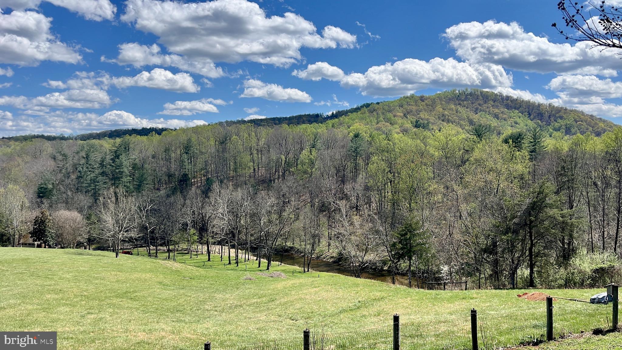 180 5 Forks Road Woodville, VA 22749 - Photo 1 of 44 a view of a yard