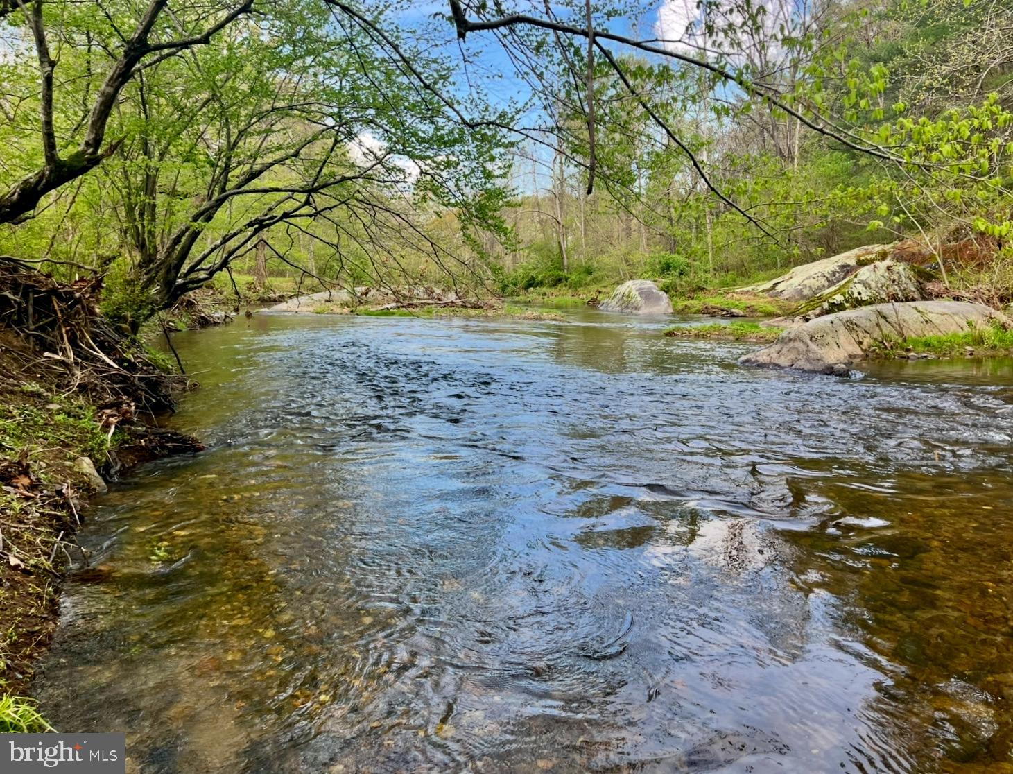 180 5 Forks Road Woodville, VA 22749 - Photo 11 of 44