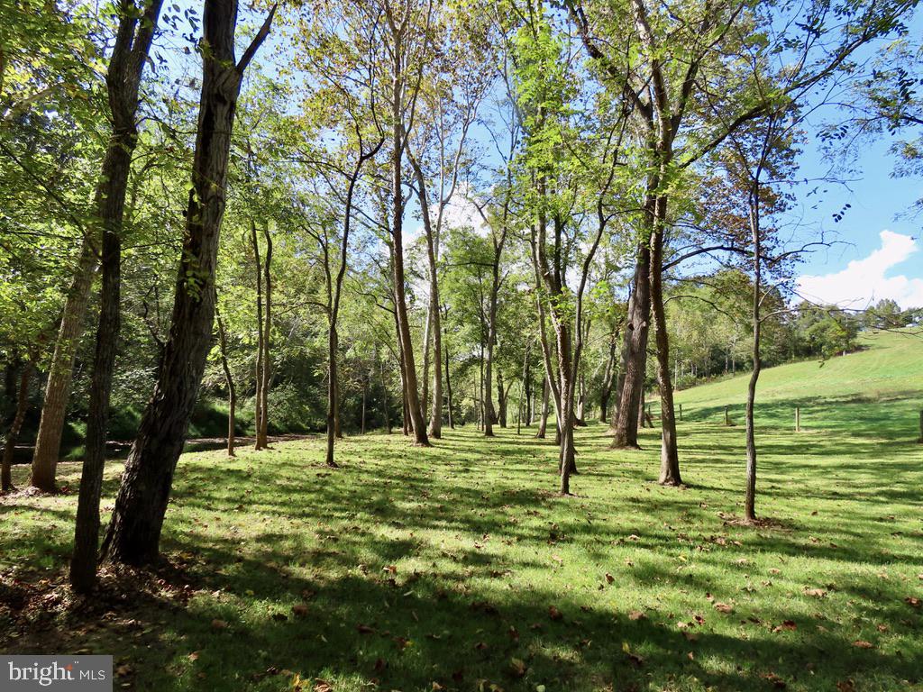 180 5 Forks Road Woodville, VA 22749 - Photo 16 of 44 a big yard with trees in the background