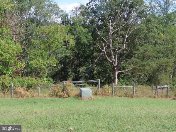 a view of a dry yard with trees