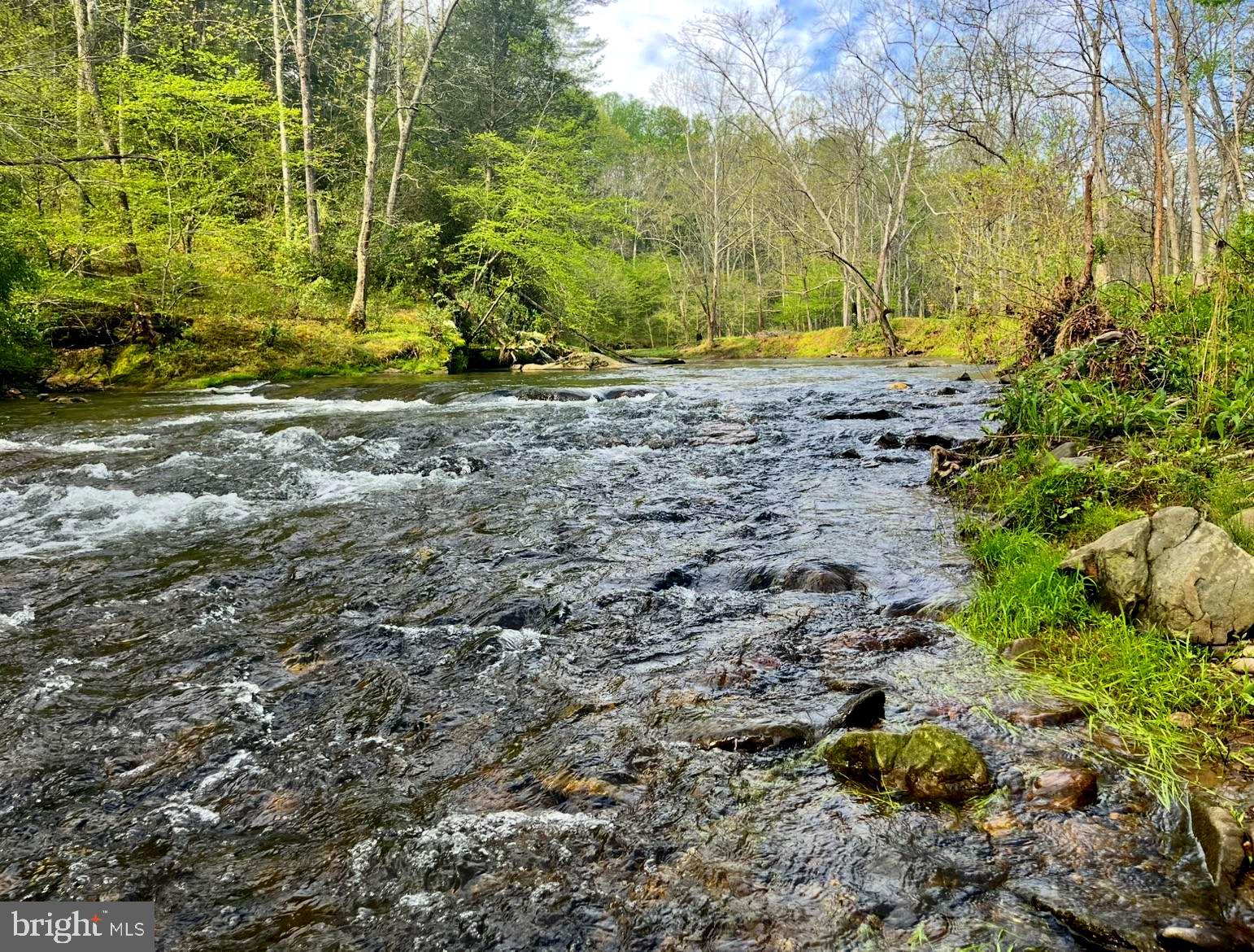 180 5 Forks Road Woodville, VA 22749 - Photo 2 of 44 a view of backyard