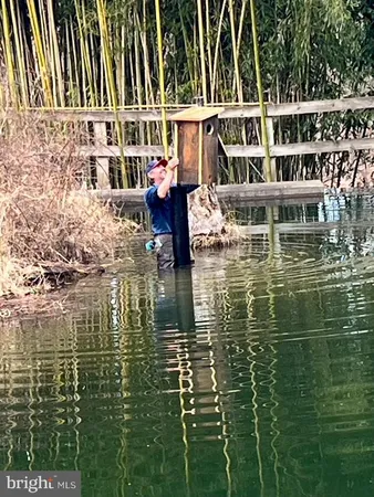 a view of a tree in the middle of a yard