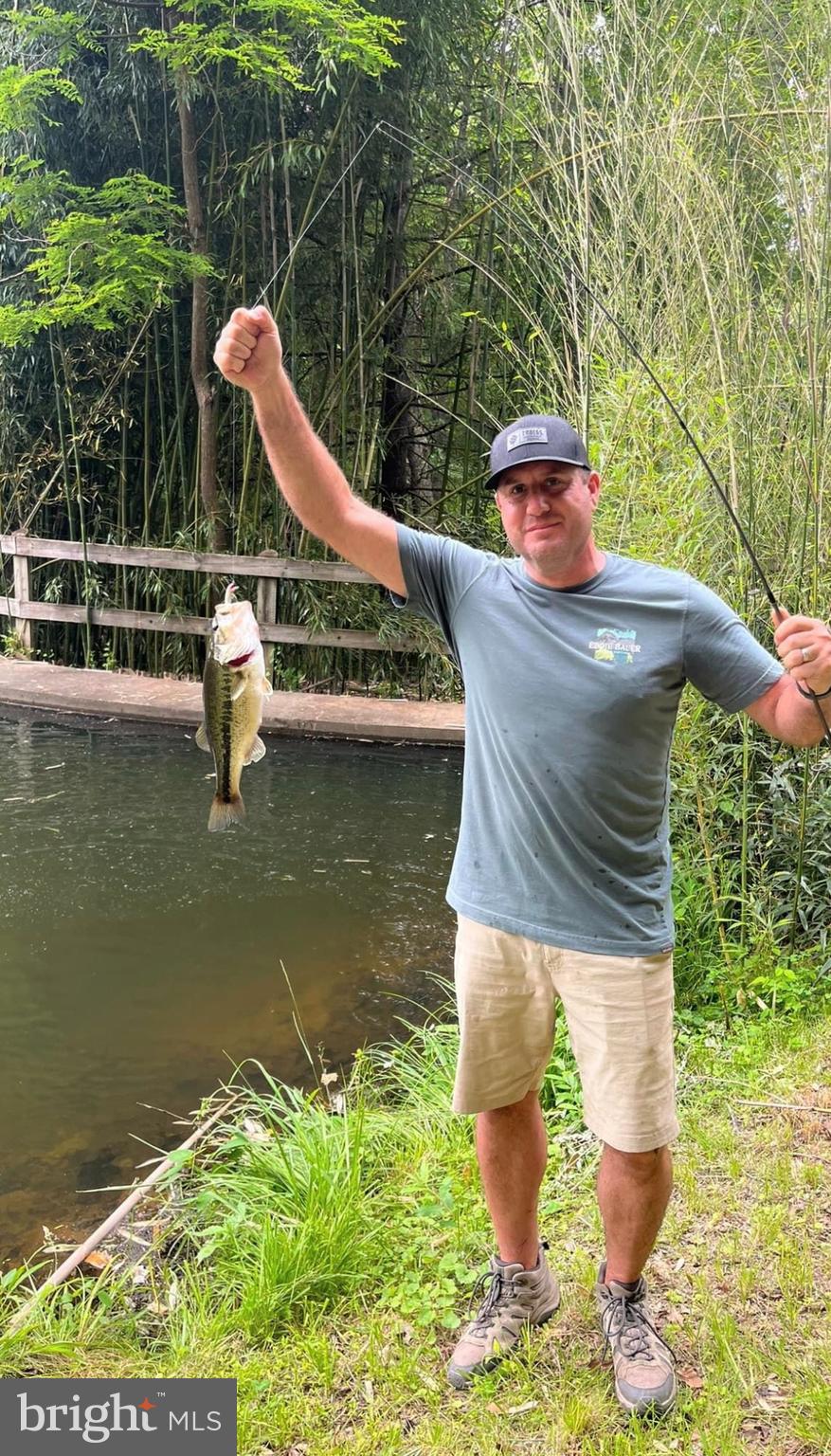 180 5 Forks Road Woodville, VA 22749 - Photo 24 of 44 a view of a lake view