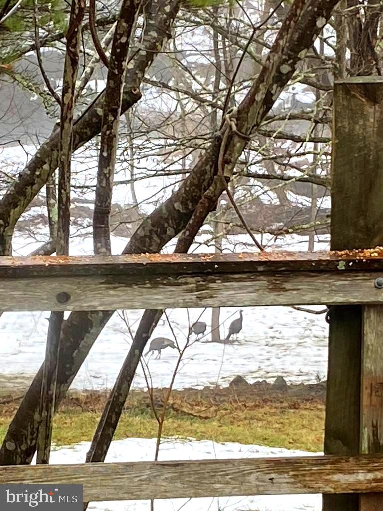 180 5 Forks Road Woodville, VA 22749 - Photo 25 of 44 a view of swimming pool from a lake