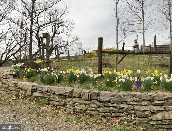 view of a back yard of the house