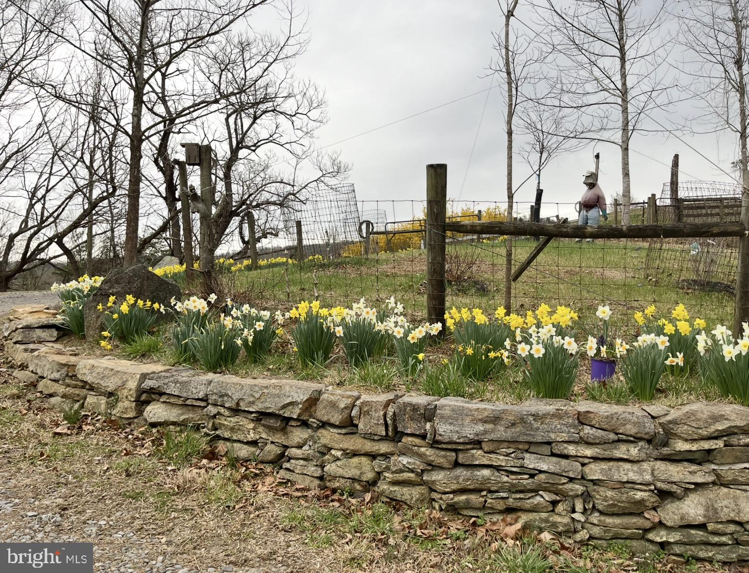180 5 Forks Road Woodville, VA 22749 - Photo 26 of 44 a front view of a house with a garden and a fountain