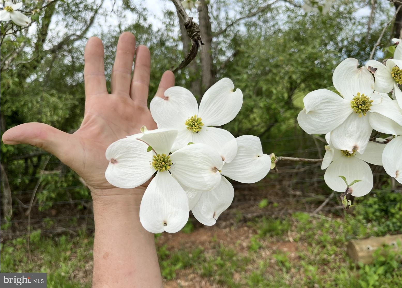 180 5 Forks Road Woodville, VA 22749 - Photo 28 of 44 a bathroom with a sink and mirror