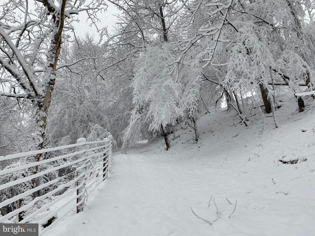 180 5 Forks Road Woodville, VA 22749 - Photo 29 of 44 a view of a dry yard with trees