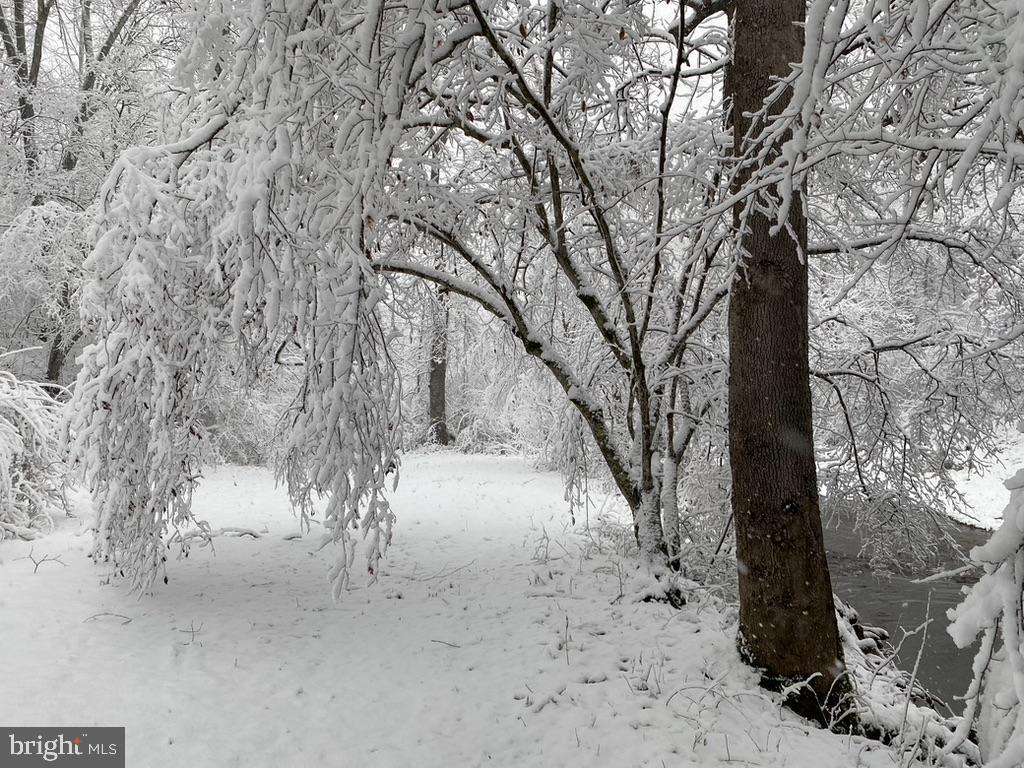 180 5 Forks Road Woodville, VA 22749 - Photo 31 of 44