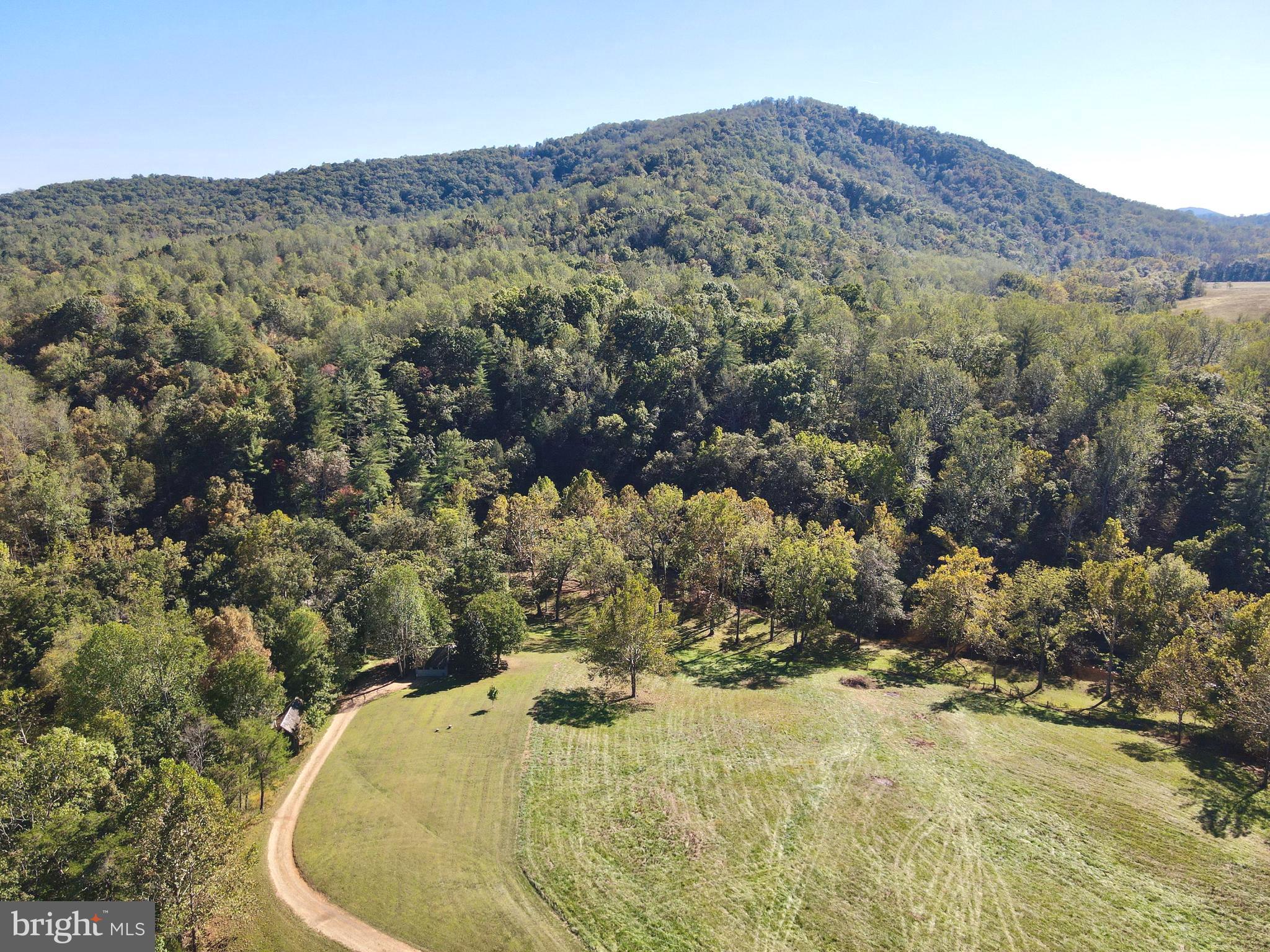 180 5 Forks Road Woodville, VA 22749 - Photo 39 of 44 Red Oak Mountain backdrop, driveway to cabin