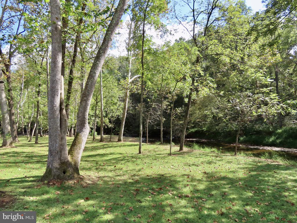 180 5 Forks Road Woodville, VA 22749 - Photo 7 of 44 River Bottom below cabin