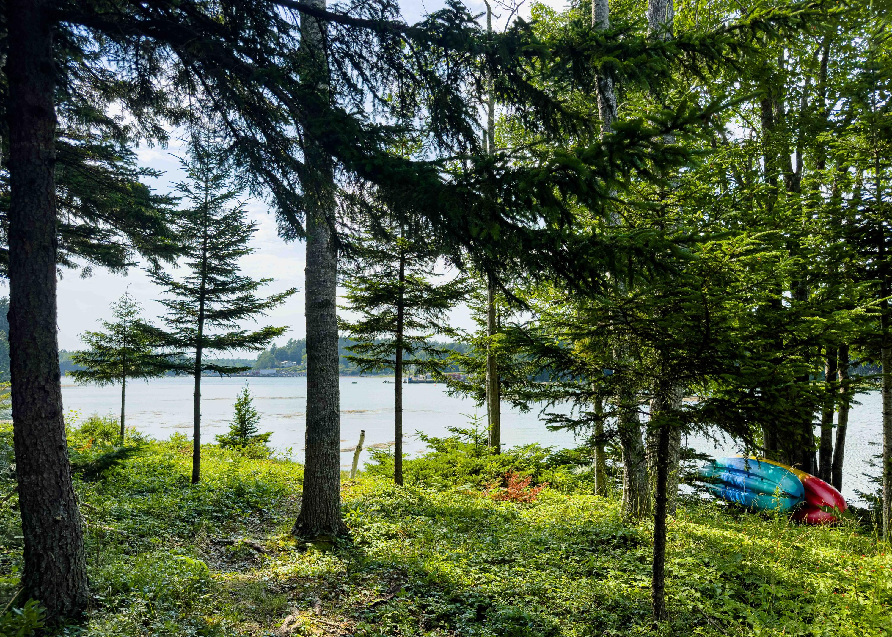 98 Harrington Cove Road Spruce Head, ME 04859 - Photo 13 of 49 98HaringtonCove_15_SS_mls