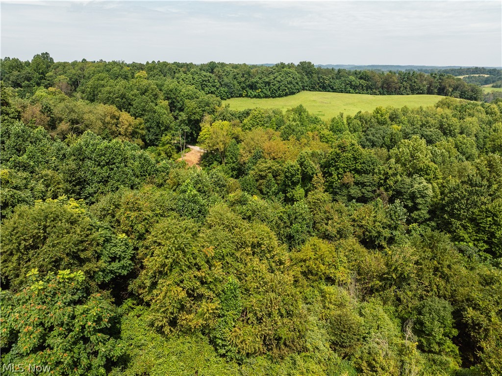 Luneman Road Scio, OH 43988 - Photo 43 of 48 Gallery Image 43