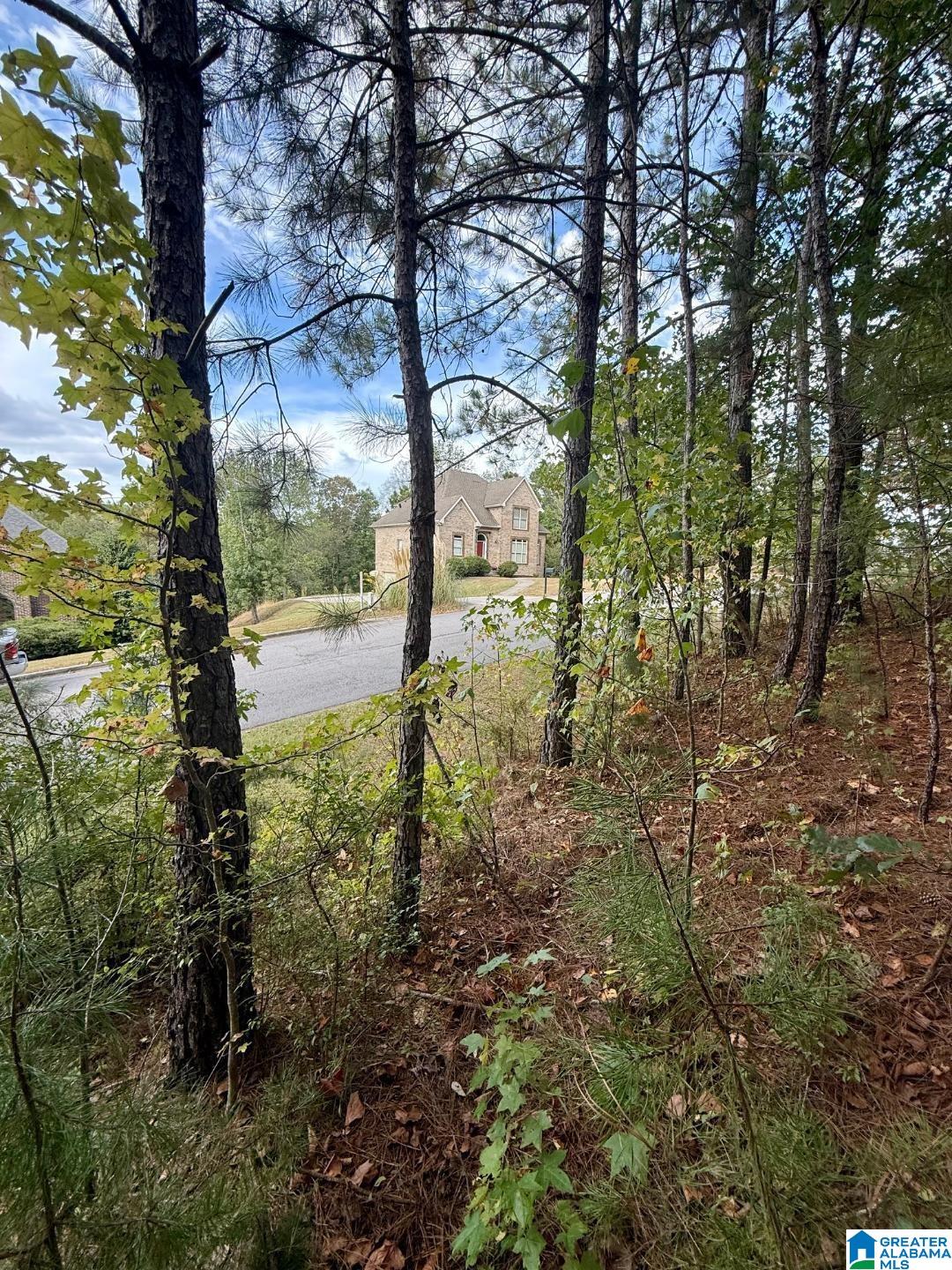 325 Deer Ridge Lane, Unit 29 Chelsea, AL 35043 - Photo 4 of 17