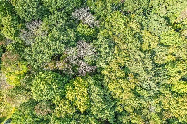 $9,500 | Lot 36 Dutch Hollow, La Valle, WI 53941