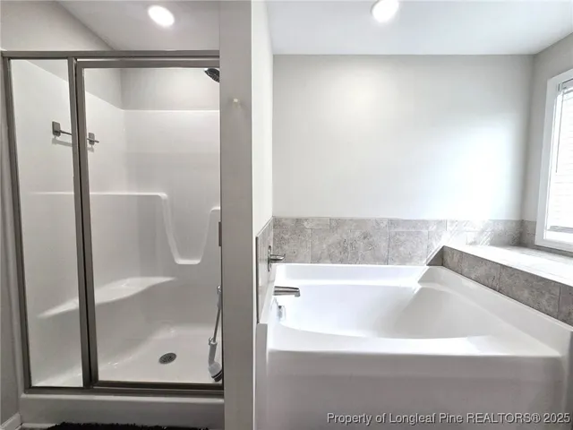 a bathroom with a bathtub and a shower