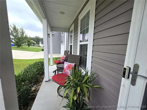 a potted plant sitting in front of a house