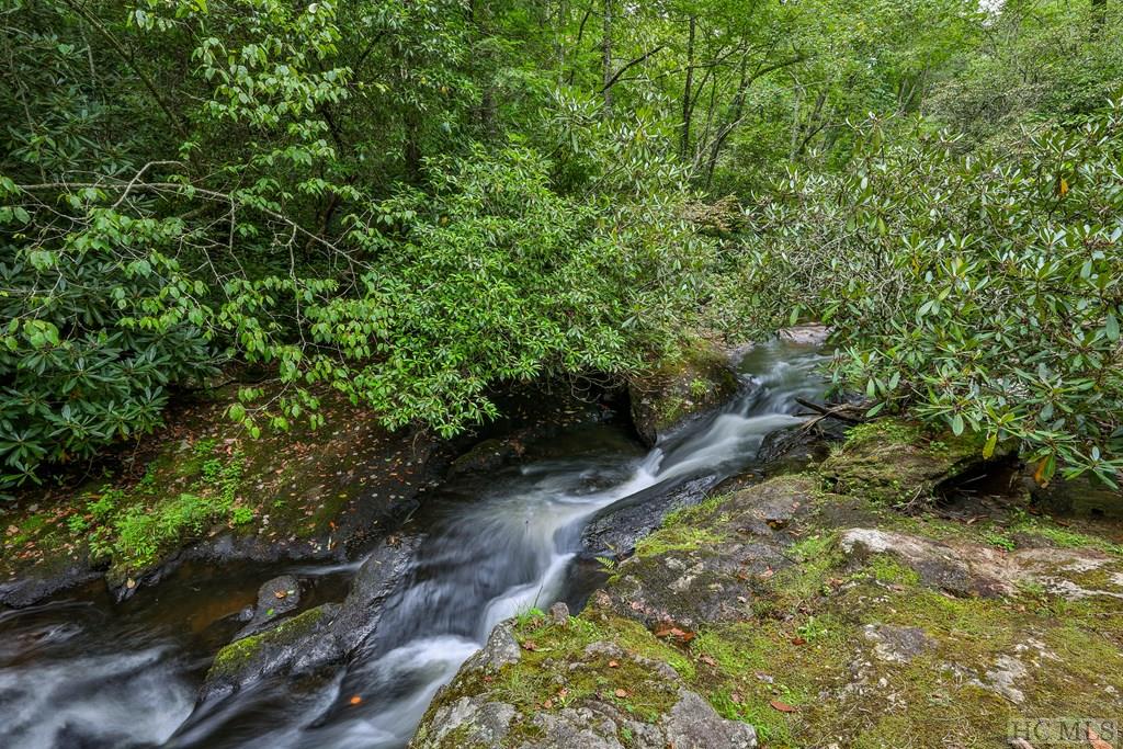 1124 Billy Cabin Road Highlands, NC 28741 - Photo 13 of 67 Gallery Image 13