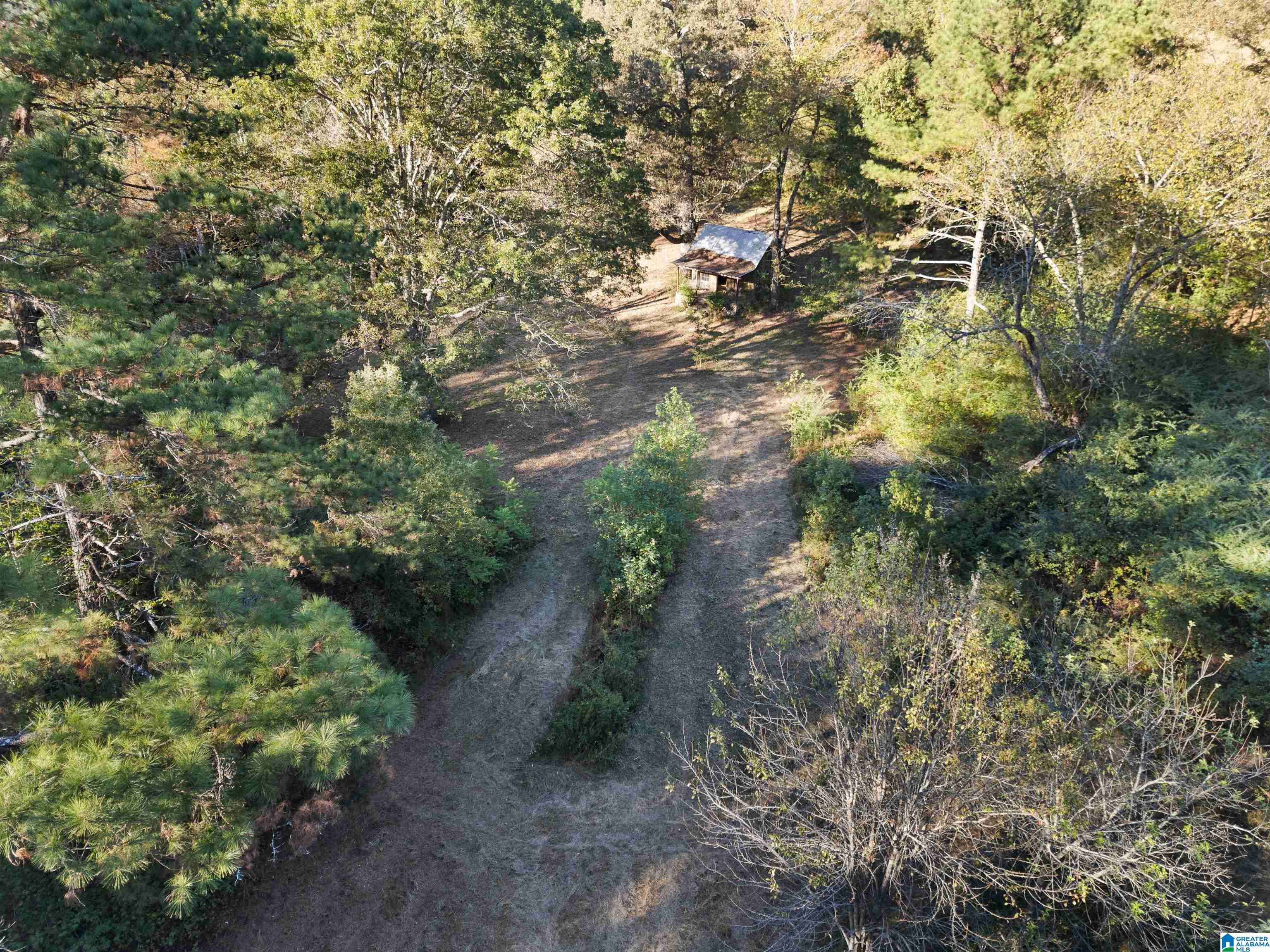 550 Hale Creek Road Altoona, AL 35952 - Photo 46 of 54