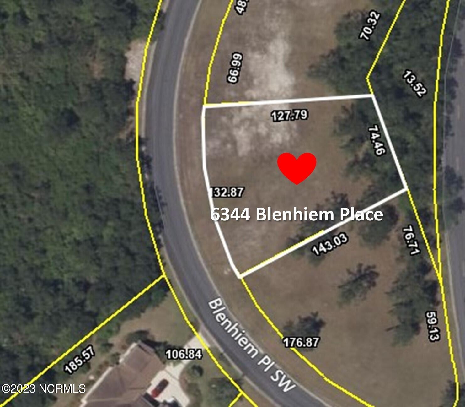 6344 Blenhiem Place Aerial Map IV-2-7
