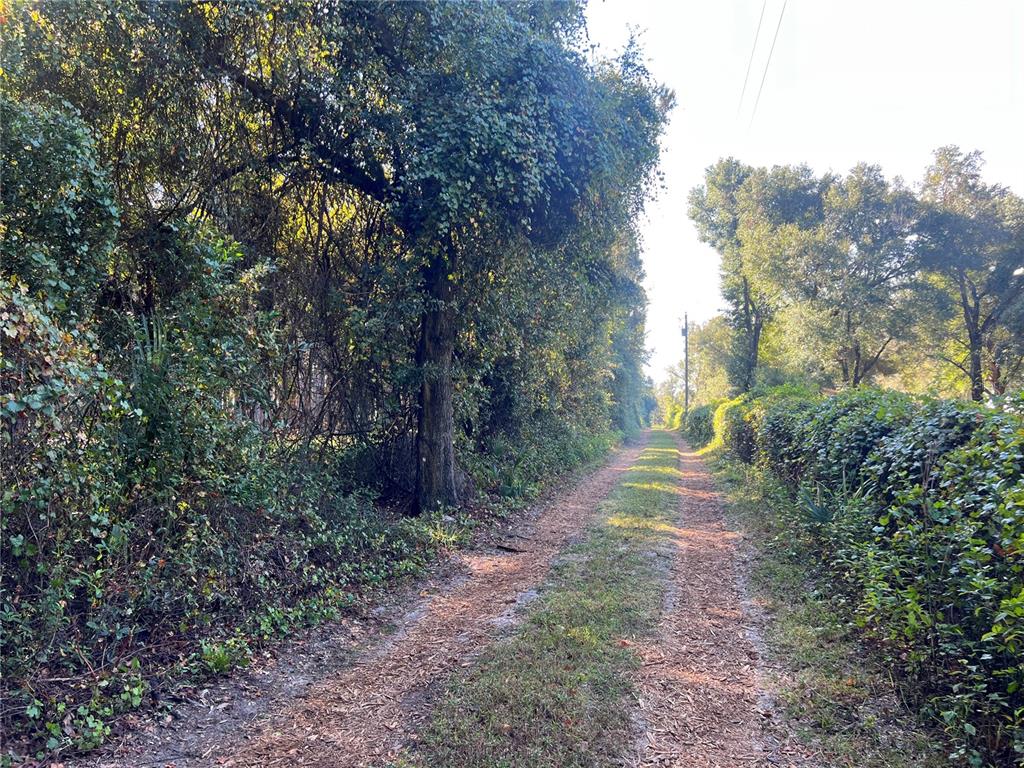 a view of a yard with trees