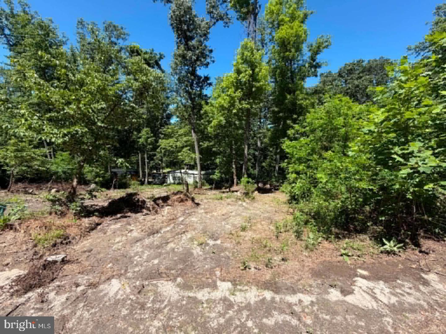 51 Cabin Road Augusta, WV 26704 - Photo 16 of 21 Gallery Image 16