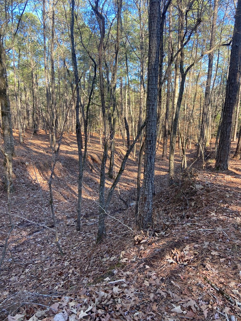 0 Kings Gap Road Pine Mountain, GA 31822 - Photo 4 of 19 Gallery Image 4