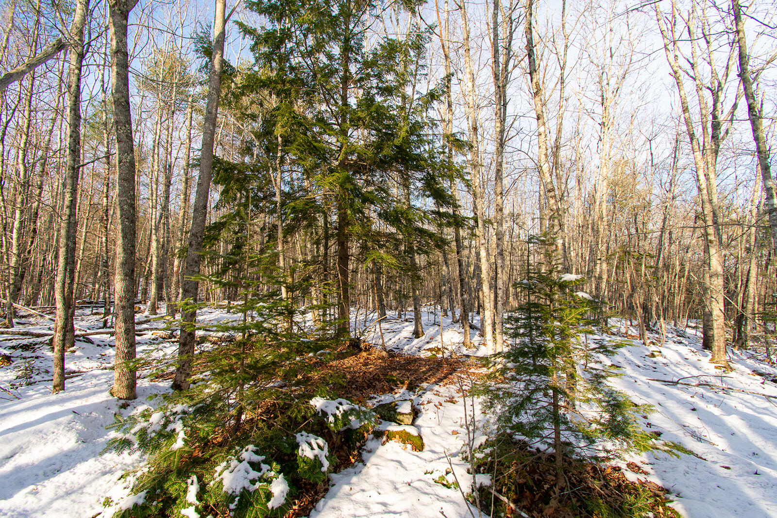 1129 Feylers Corner Road Waldoboro, ME 04572 - Photo 9 of 11 1129 Feylers Corner Road, Waldoboro