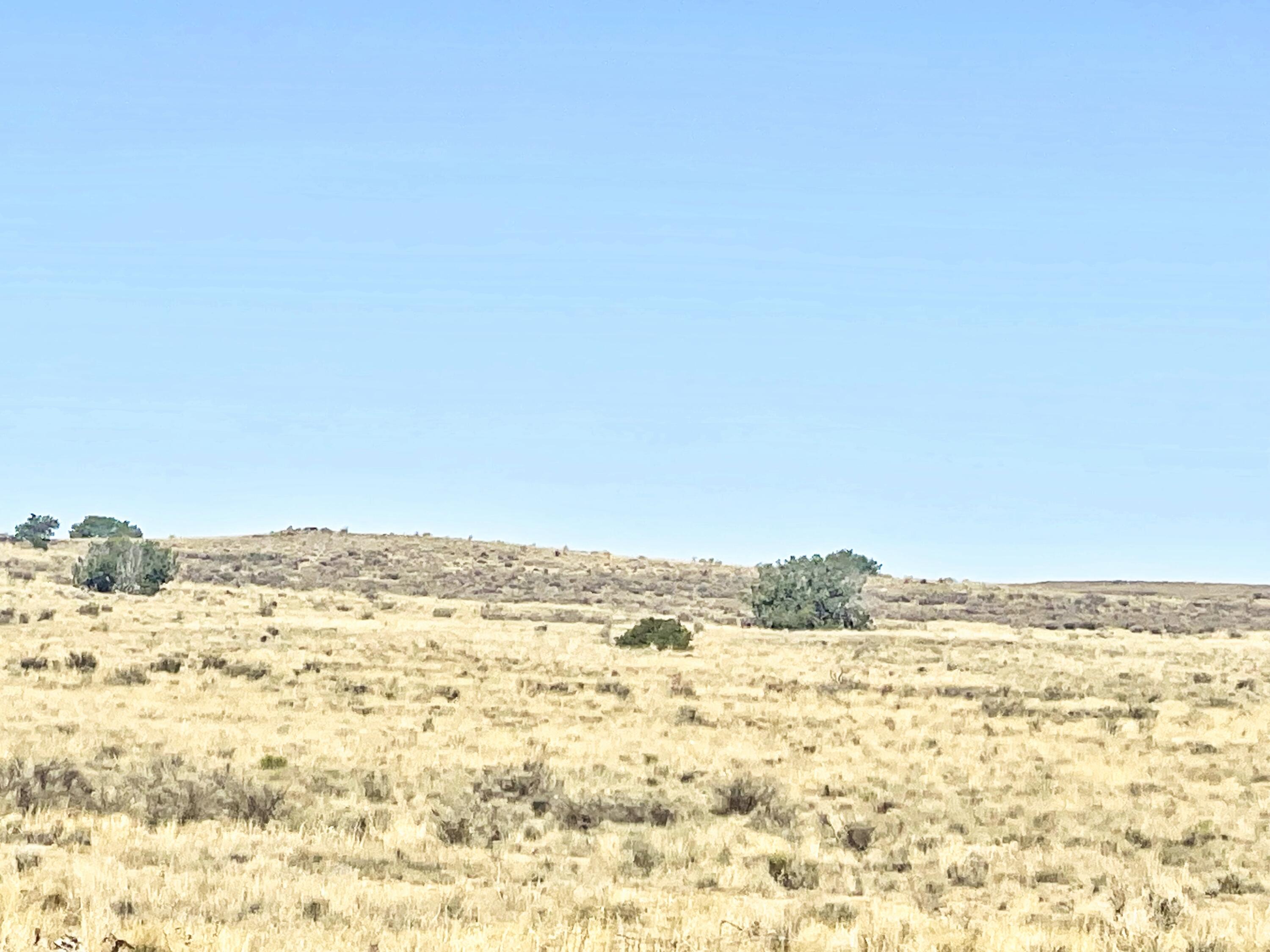 0 Squaw Road Northwest Albuquerque, NM 87114 - Photo 10 of 25 Gallery Image 10