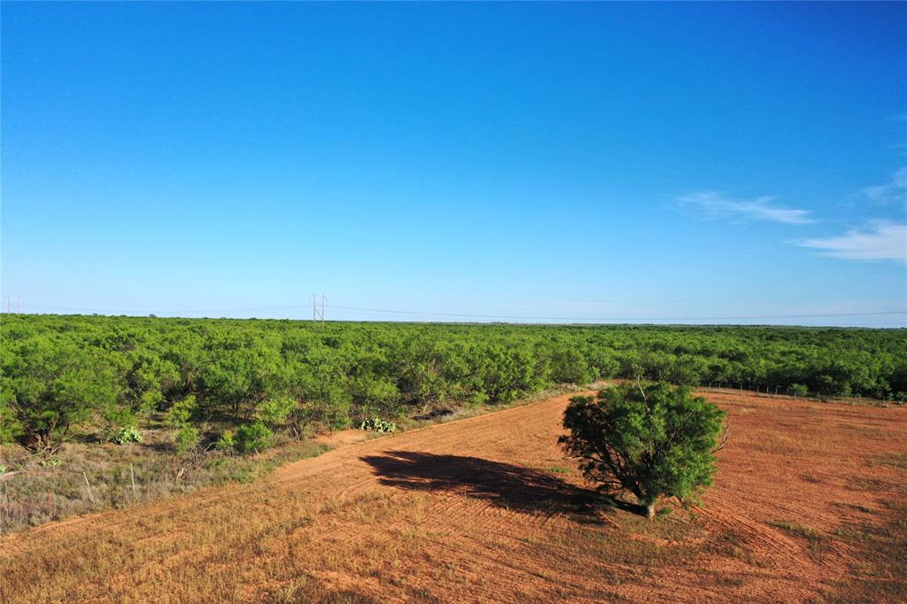 Tbd Kimbrough Road Haskell, TX 79521 - Photo 11 of 21