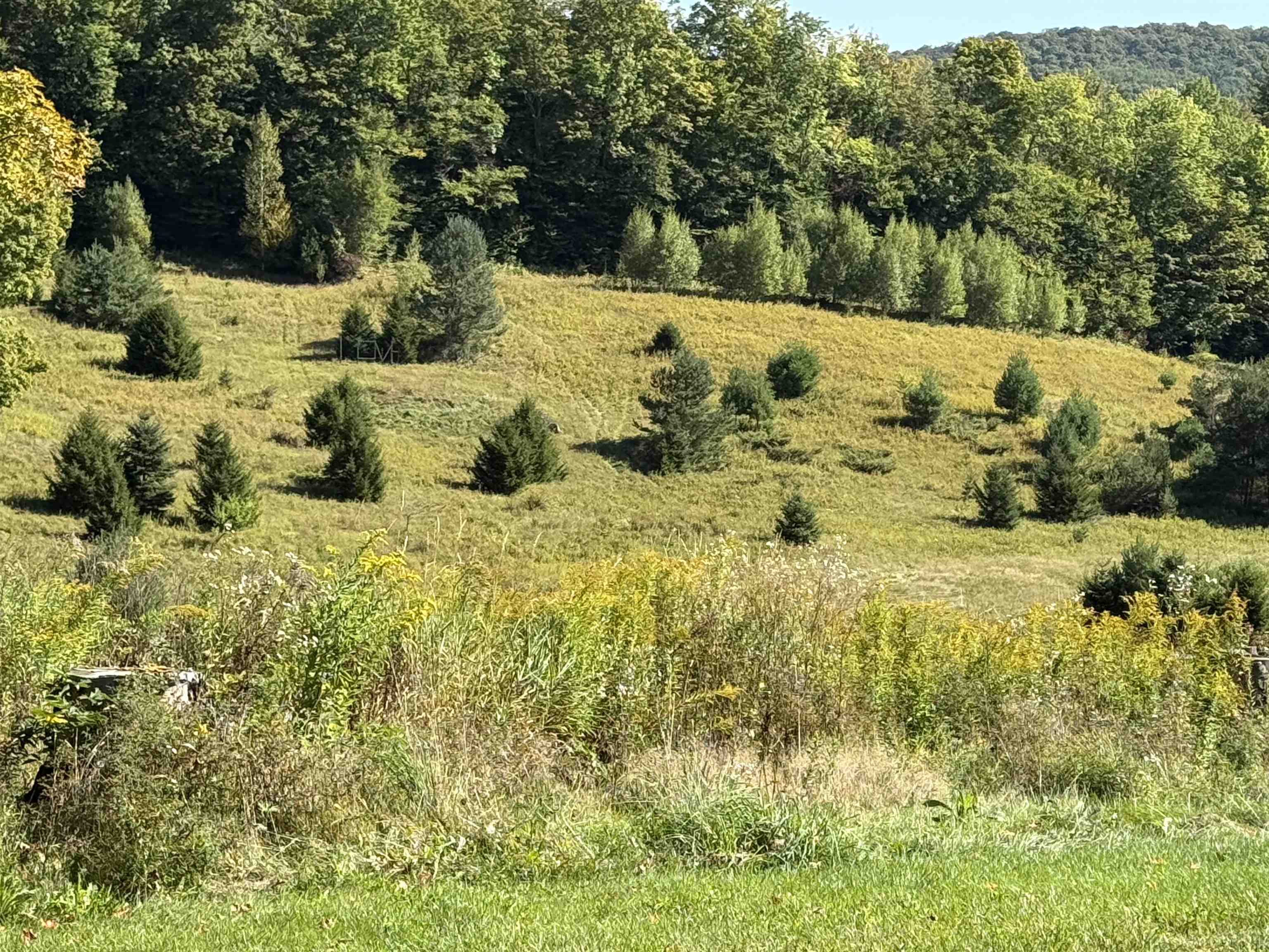 1720 MacIntosh Hill Road Bethel, VT 05060 - Photo 35 of 59 Gallery Image 35