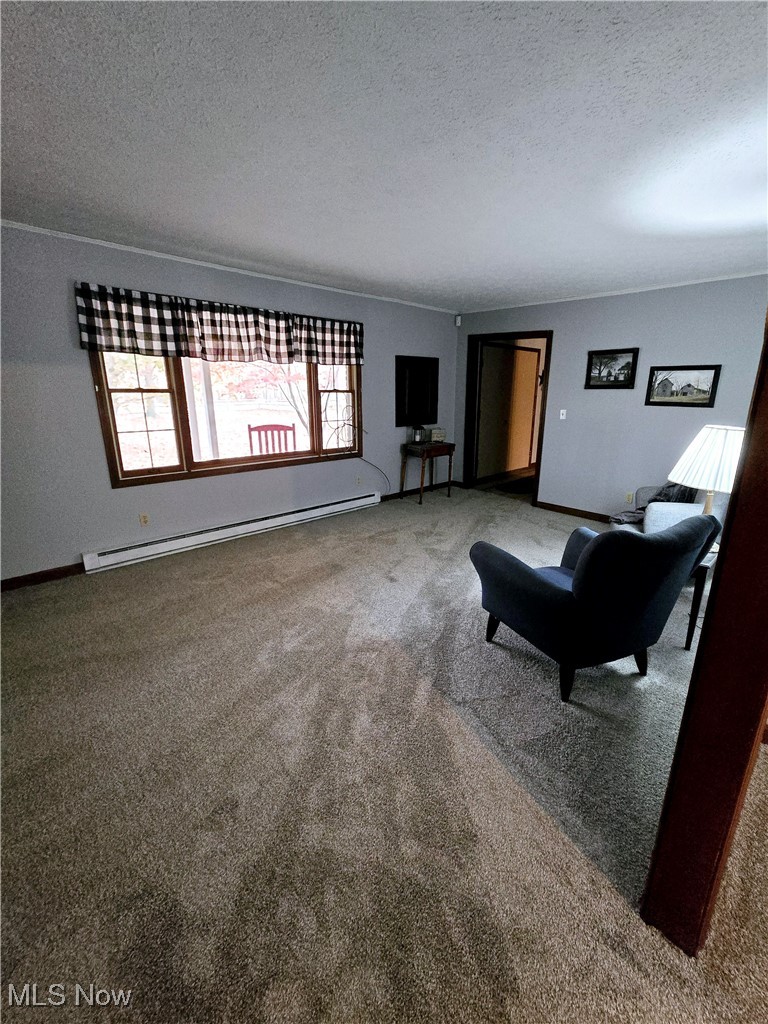 1550 North County Line Road Geneva, OH 44041 - Photo 9 of 47 New Carpeted living room with textured ceiling